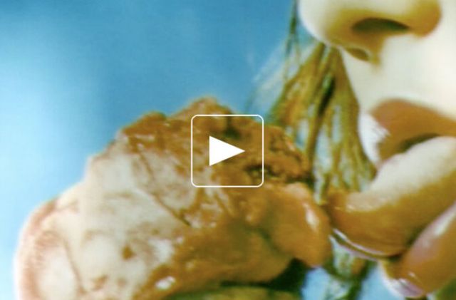 Le Grand Fooding d'été 2004