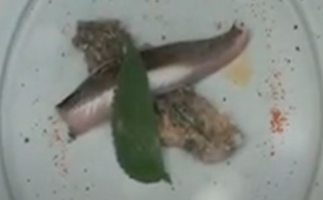 Lisettes cuites et crues, gingembre, perilla