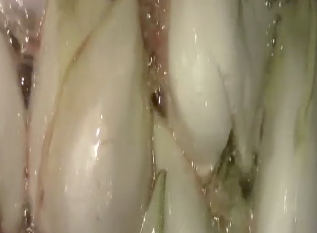 Les endives braisées aux zestes d’orange