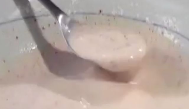 Tempura de bianchetti