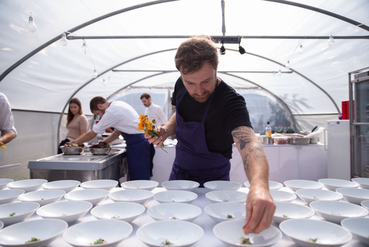 Dressage de Shaun Kelly