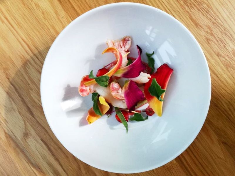 En Pleine Nature (Quint-Fonsegrives)