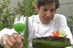 Entrée de tomates anciennes aux huîtres et gaspacho