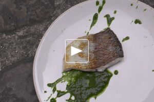 Fera, petits légumes et coulis de cerfeuil sauvage