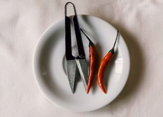 Traité du chaud piquant à l'usage des pyromaniaques