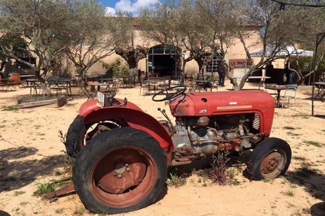 Nos meilleures planques vertes