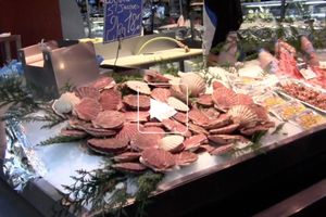 Noix de saint-jacques rôties, crème de champignons de Paris à la fourme d’Ambert