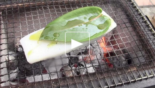 Seiche, navet, granny