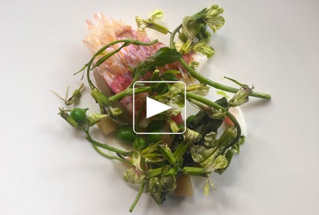 Rouget, petit pois, asperge et rhubarbe.