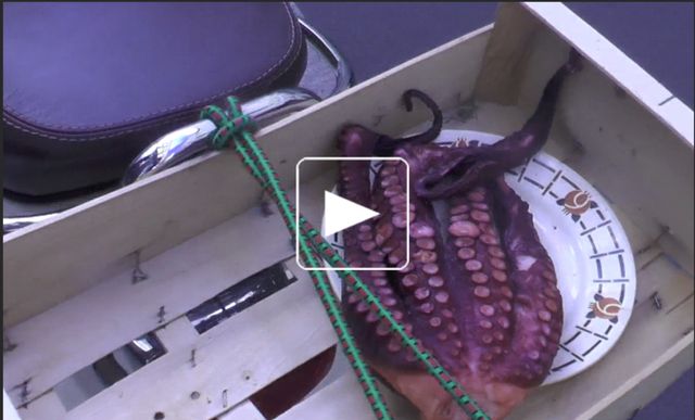 Poulpe grillé, asperges, feta râpée