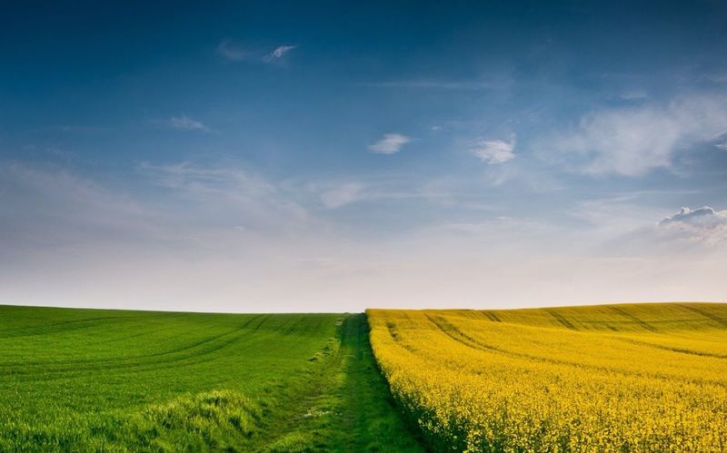 Manoir de Surville (Surville)