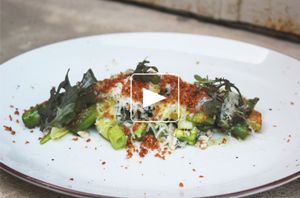 Asperge, puntarelle, anchois, pecorino