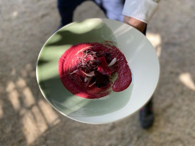 Thon tonnato, betterave et shiso