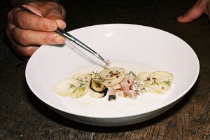 Le chinchard cru, crème vichyssoise