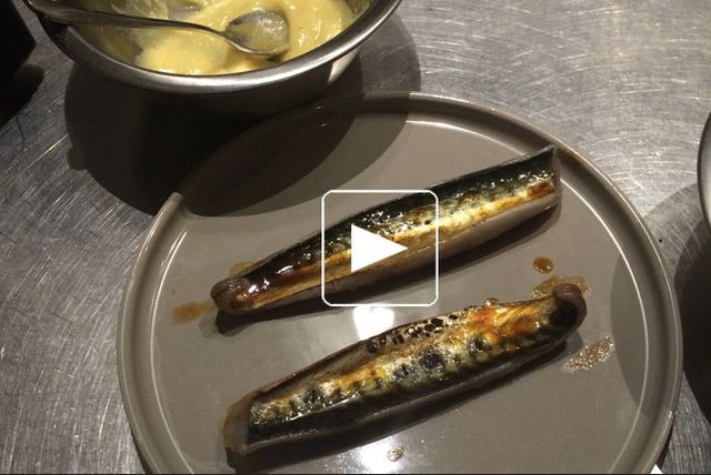 Maquereau fumé, puntarelle, mayo citron confit