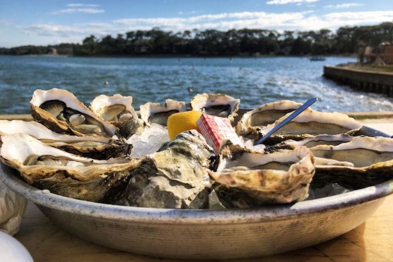 Chez Pif (Soorts-Hossegor)