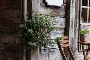 Country Lodge