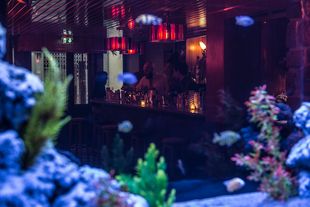 Le Bluebird