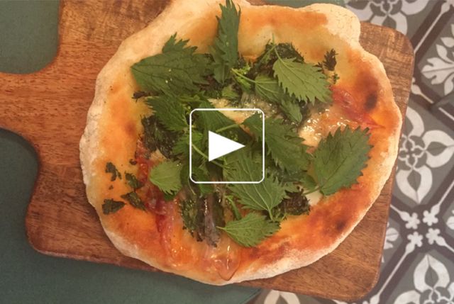 Pizette orties, taleggio, guanciale