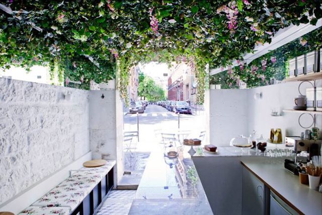 Lily Of The Valley, Paris