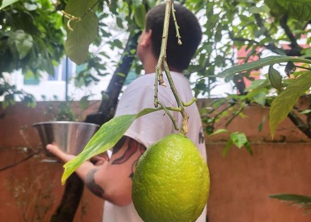 Rita en faim à table !