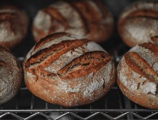 Brood