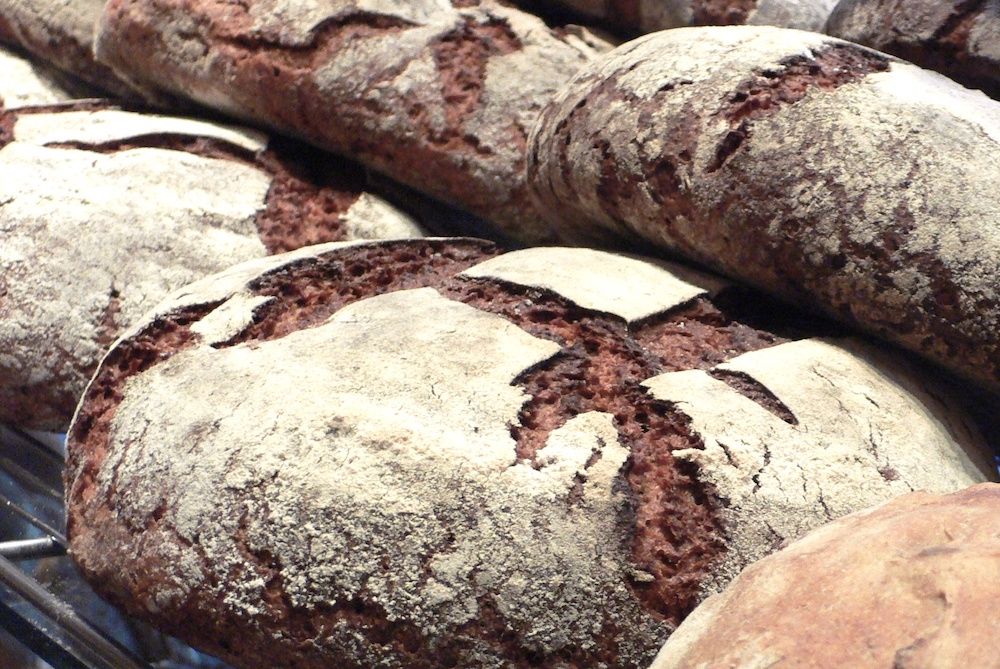 Petit traité du seigle à l’usage des céréales lovers