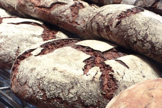 Petit traité du seigle à l’usage des céréales lovers