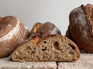 Terre et blé