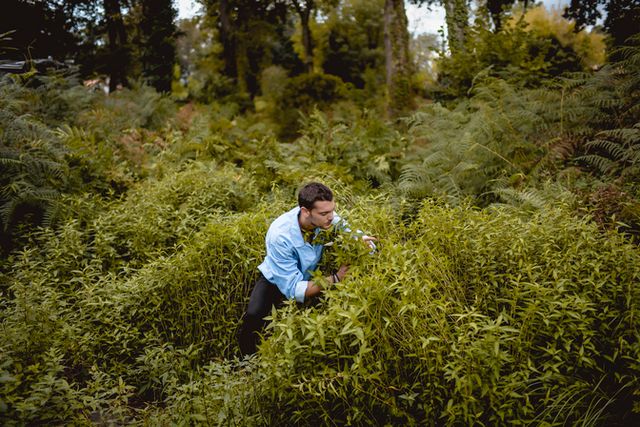 Félix Clerc : Un cueilleur dans la ville