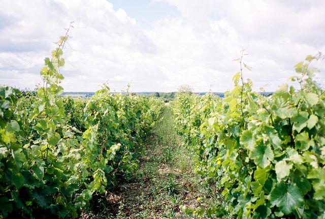 « Nos campagnes ont déjà essuyé suffisamment de drames »