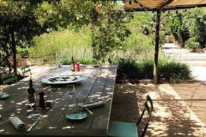 Nos meilleures adresses à Arles