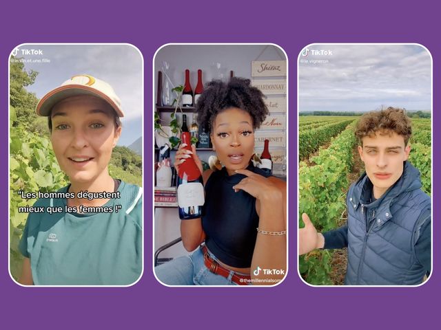 Les vindics de TikTok