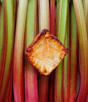 Grain de Vanille