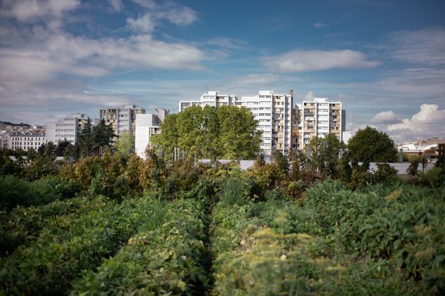« Si on ne crée pas de vocations chez les nouvelles générations, on ne sera pas capable de nourrir la France… »