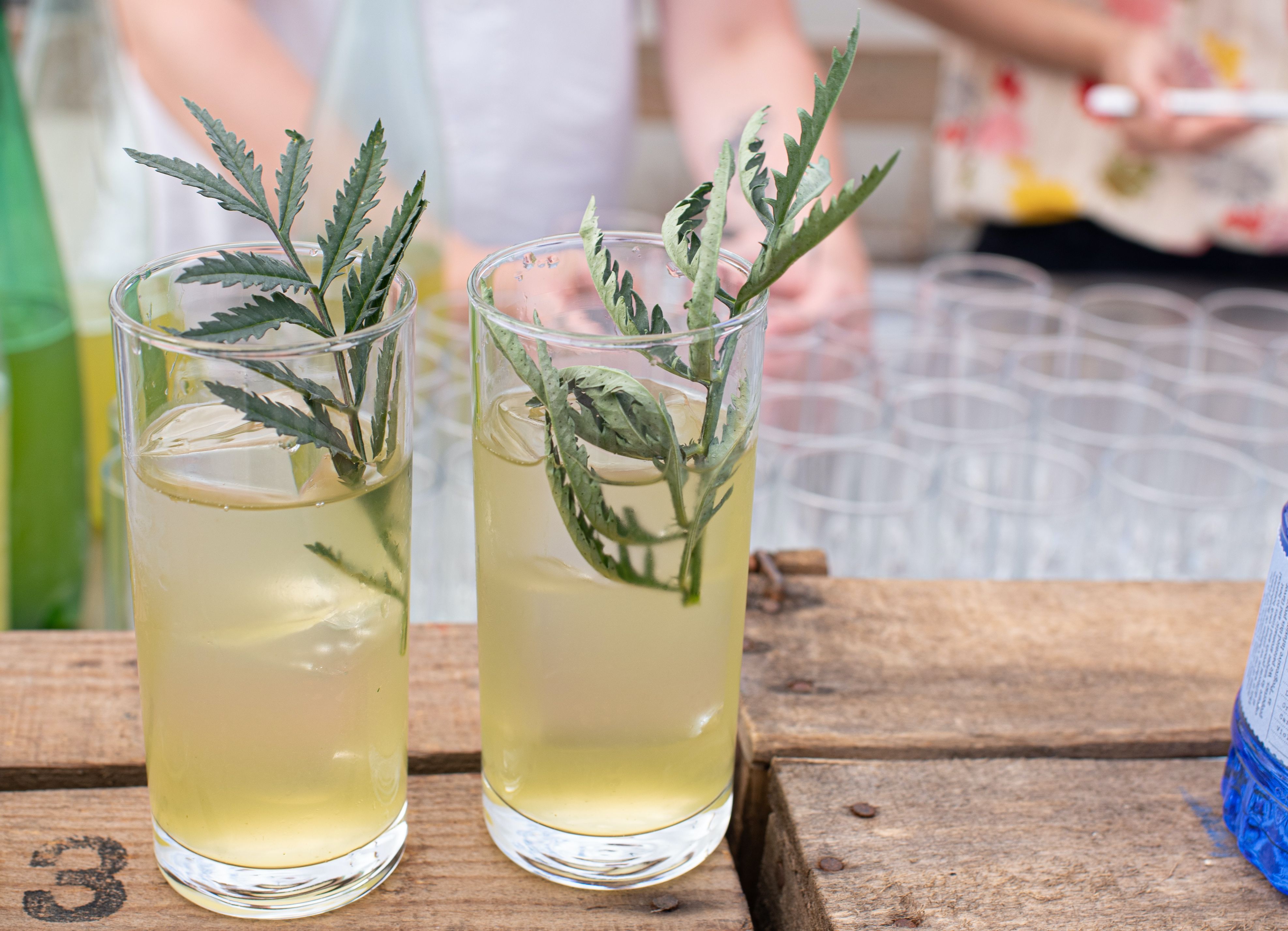 Recette du cocktail Green Ivy de Ruba Khoury du bar Dirty Lemon - Fooding ®