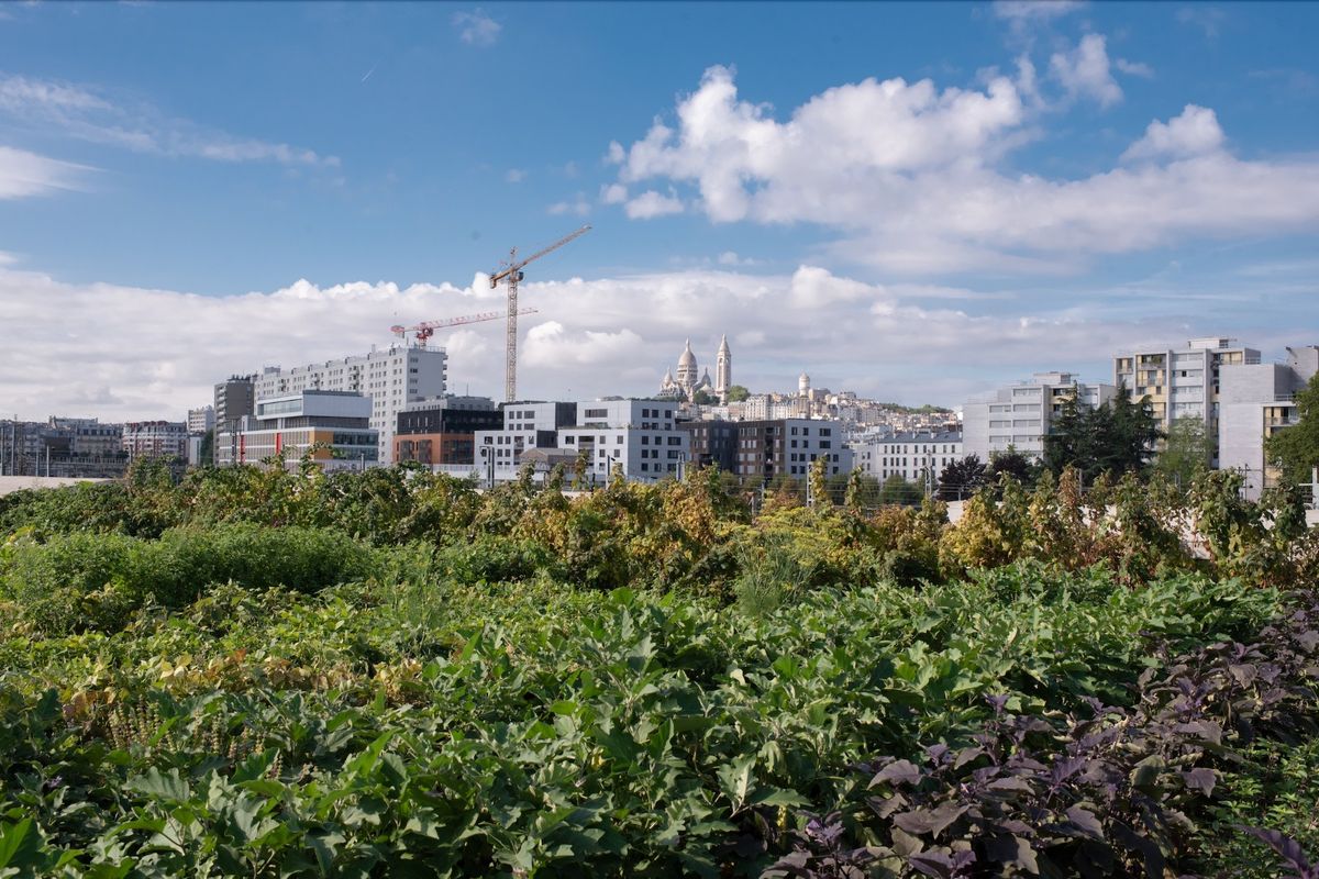 La petite vue sur le Sacré-Cœur qui va bien 
