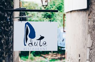 Paute