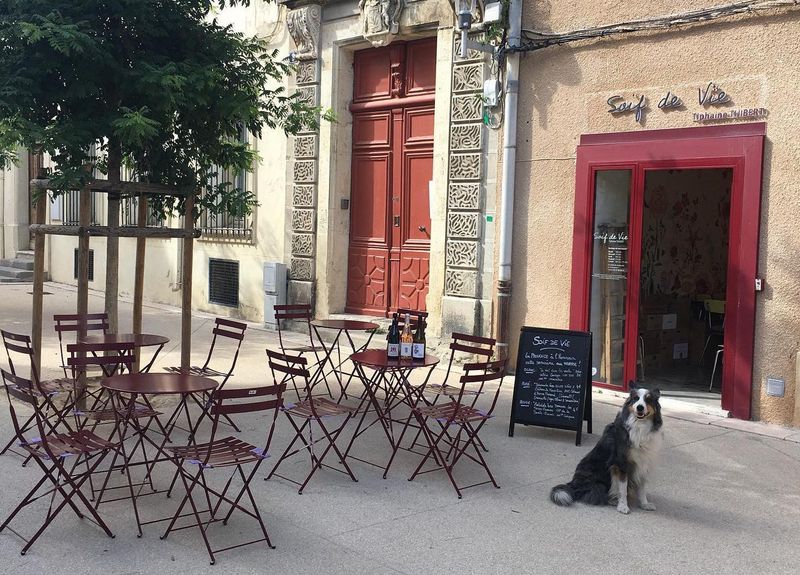 Cave Soif de Vie (Narbonne)