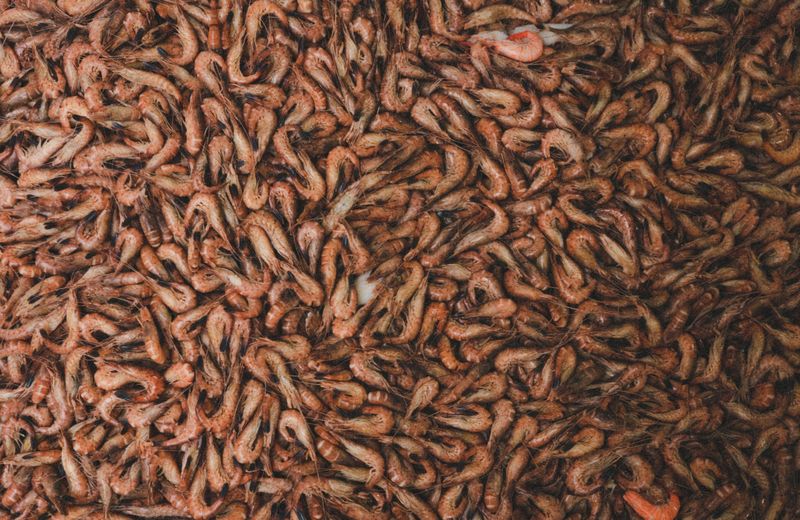 Vishandel Mare Nostrum (Koksijde)