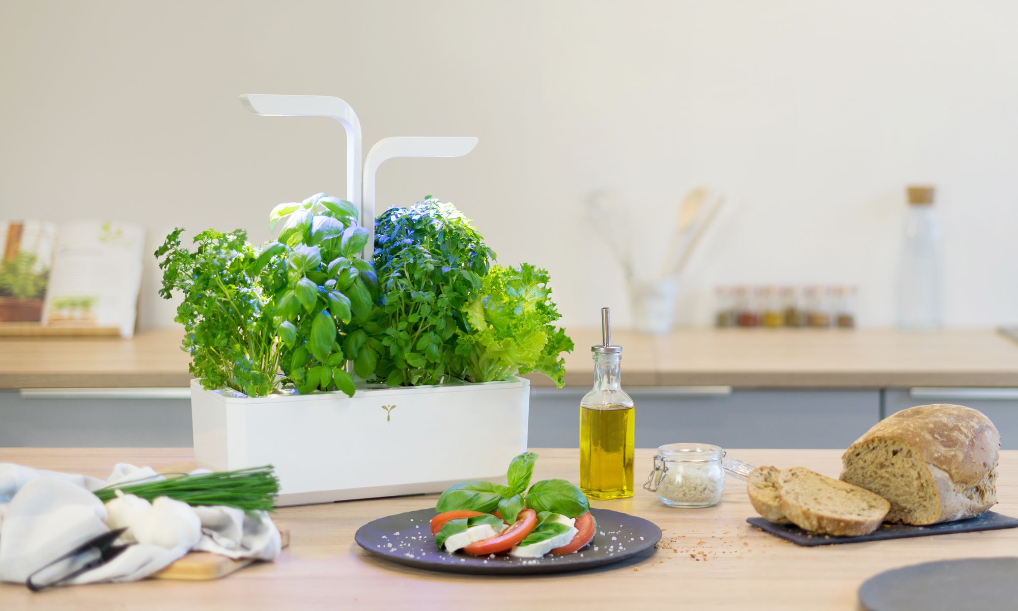 Trois, deux, un, potagez !