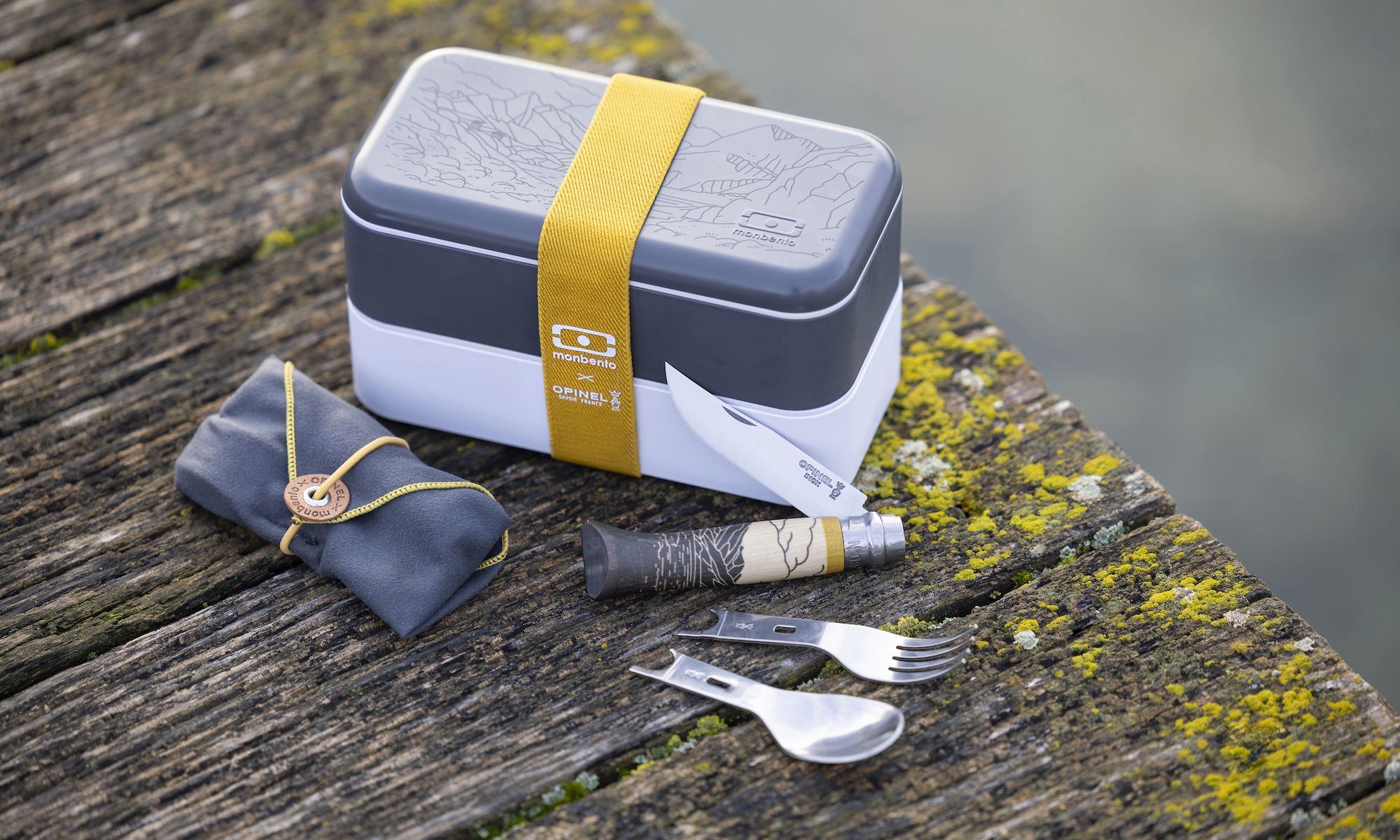 Menez vos plats en bento !