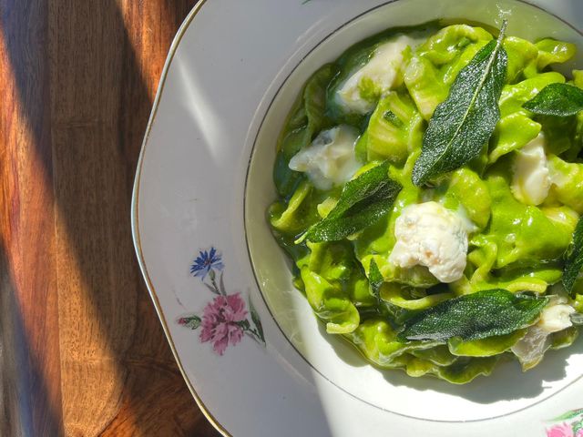 Orecchiette au gorgonzola et herbes fraîches