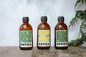 Aou, kombucha-cha-cha !