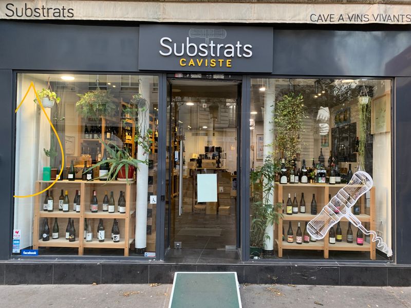 Wine Cellar Substrat Paris