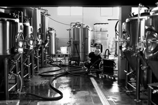La Source Bière Co.