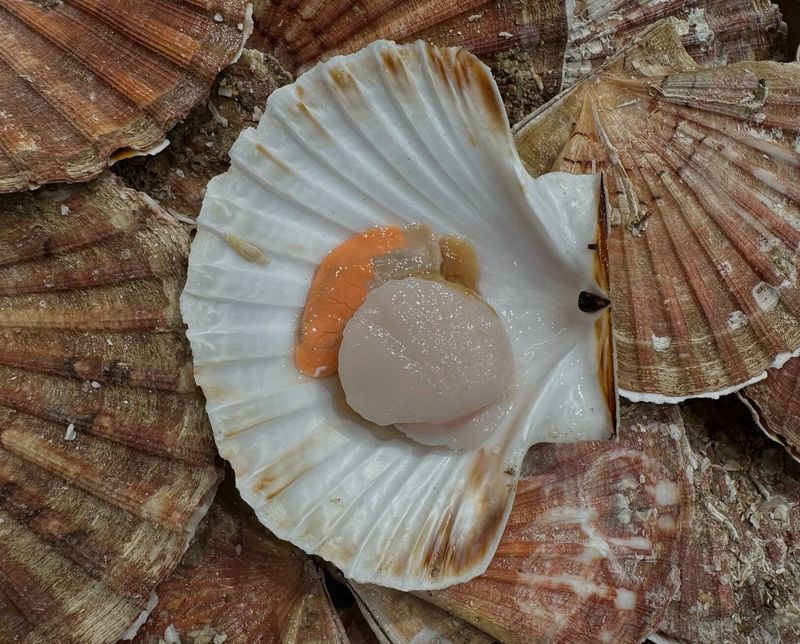 Poissonnerie Vent et Marée (Paris)