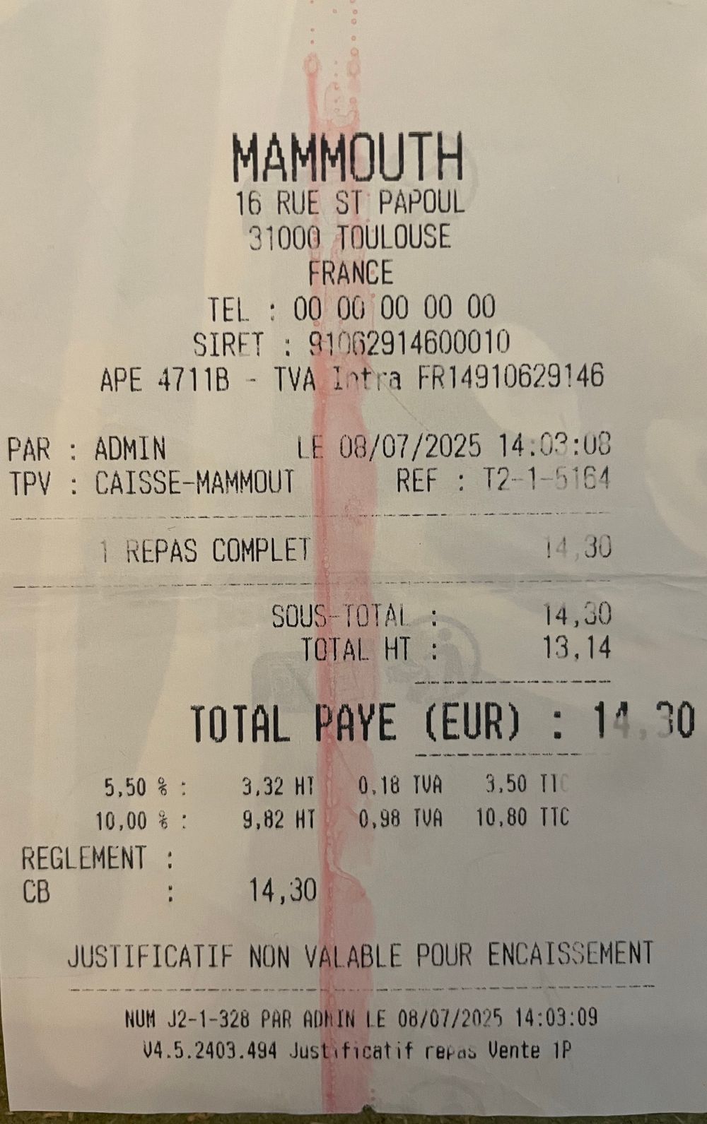 Haute-Garonne-Mammouth