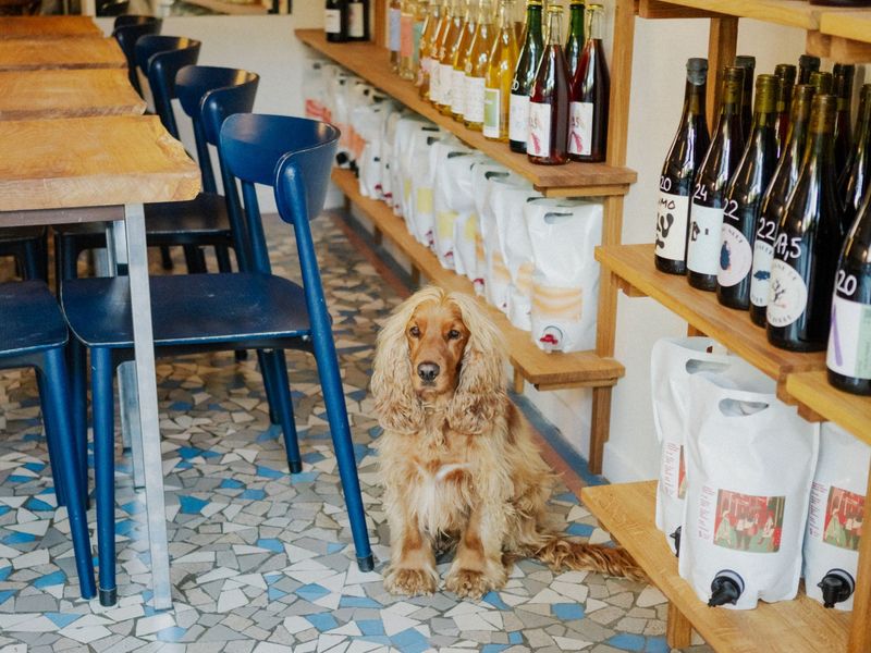 Bar Marnes Bleues (Paris)