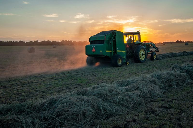 Le torride été des producteurs français